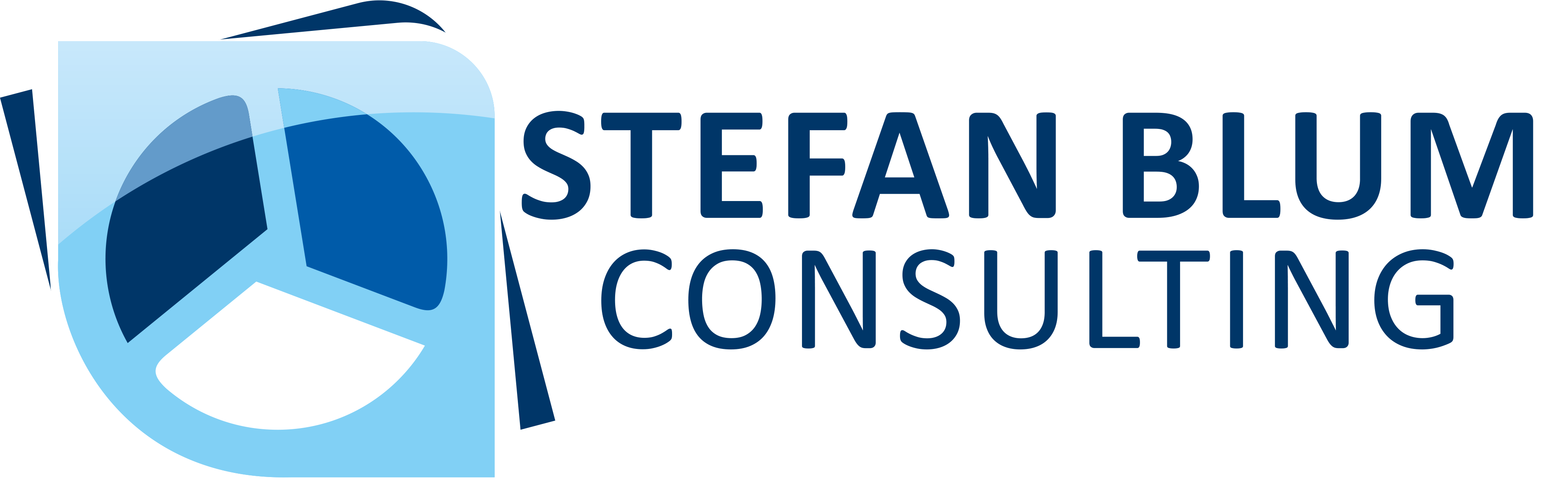 Stefan Blum Consulting